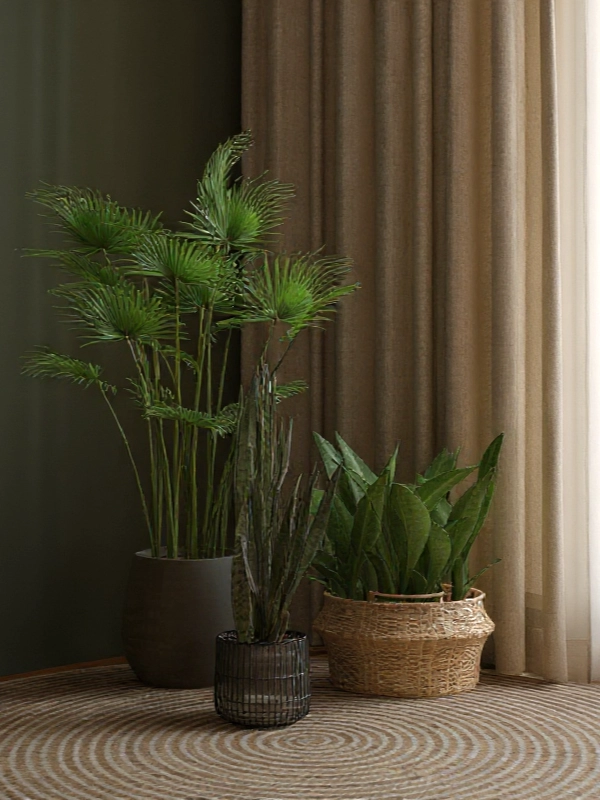 Rośliny doniczkowe w sypialni boho – widok na Osiedlu Cztery Pory Roku w Bielsku.